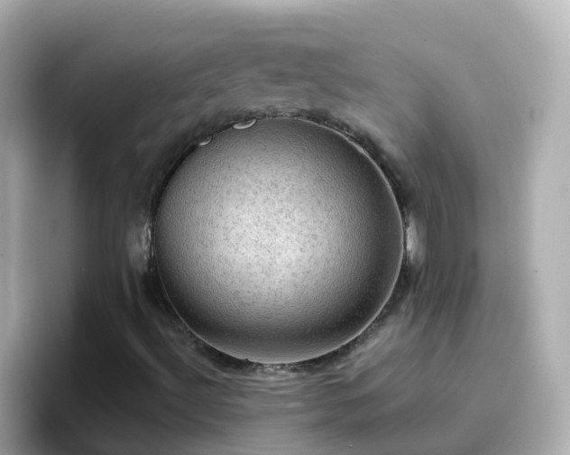 X0000096681492200802121201