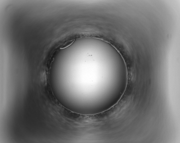 X0000096681493200802121201