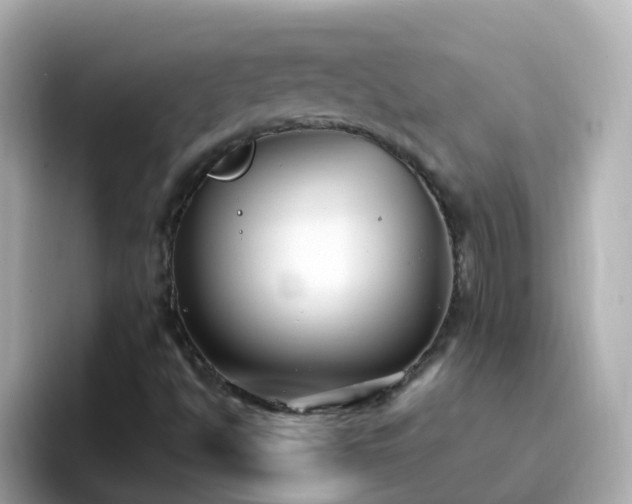 X0000096681494200802121201
