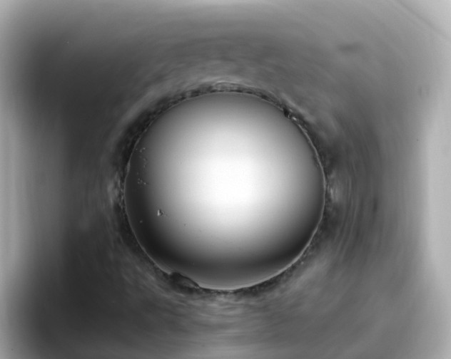 X0000096681495200802121201
