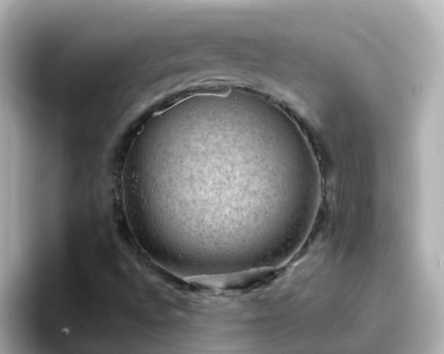 X0000096681496200802121201