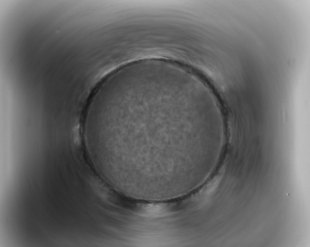 X0000096681497200802121201