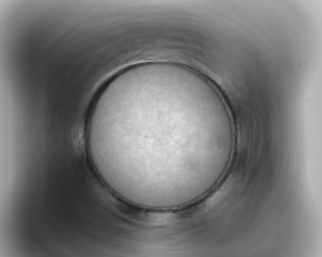 X0000096681498200802121201