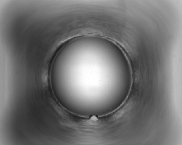 X0000096681499200802121201