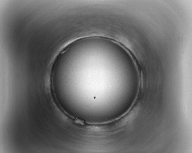 X0000096681500200802121201