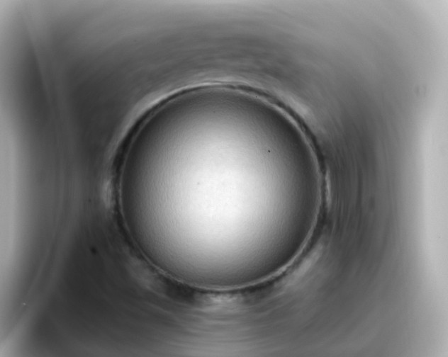 X0000096681501200802121201