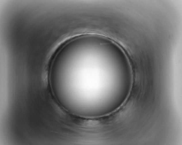X0000096681503200802121201