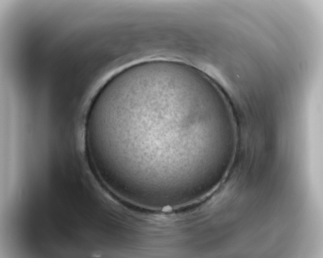 X0000096681504200802121201