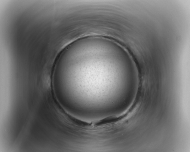 X0000096681505200802121201