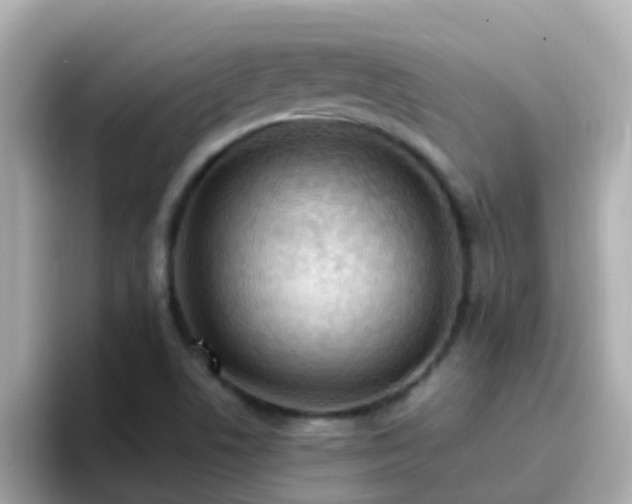 X0000096681506200802121201