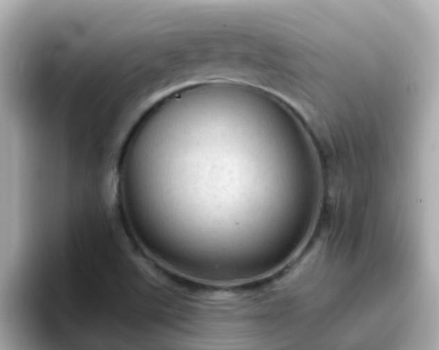 X0000096681507200802121201