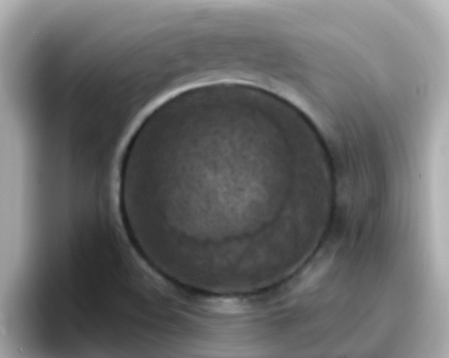X0000096681508200802121201
