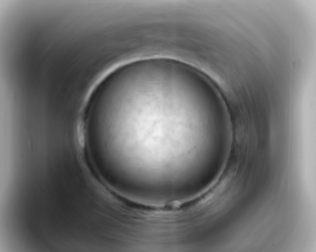 X0000096681510200802121201