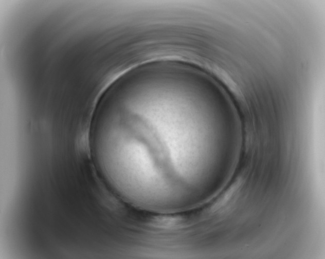 X0000096681513200802121201