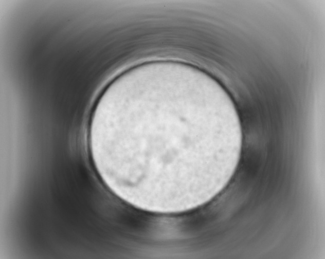 X0000096681514200802121201