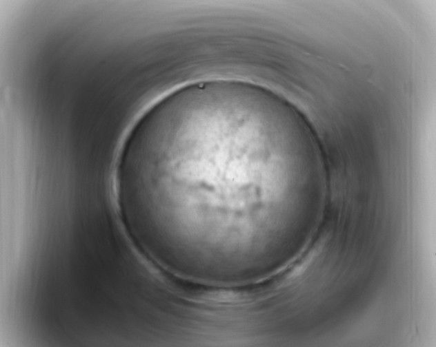 X0000096681517200802121201