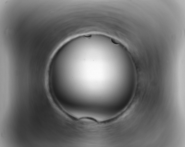 X0000096681518200802121201