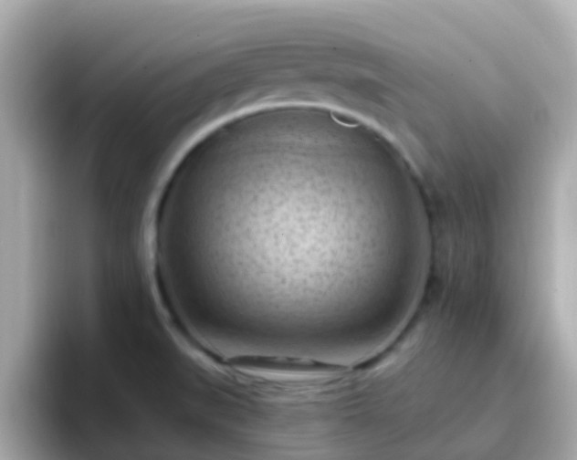 X0000096681519200802121201