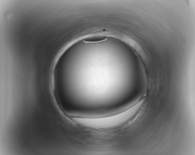 X0000096681520200802121201