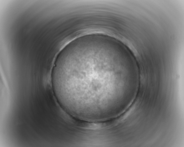 X0000096681521200802121201