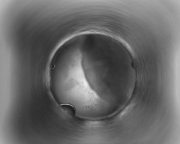 X0000096681522200802121201