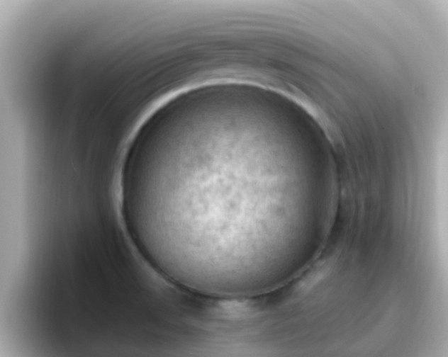 X0000096681523200802121201