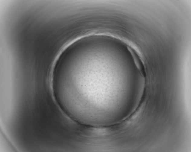 X0000096681525200802121201