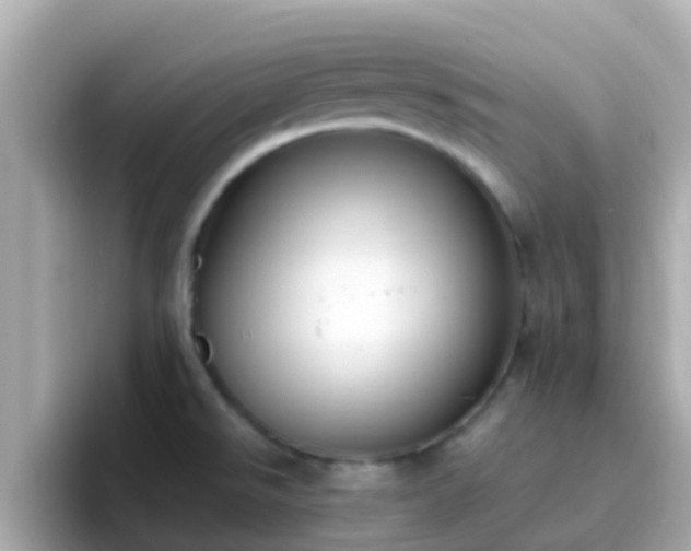X0000096681526200802121201