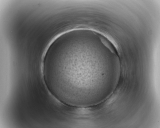 X0000096681527200802121201