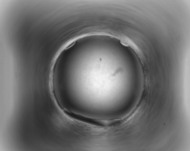 X0000096681528200802121201