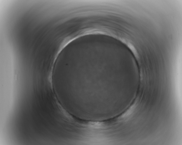 X0000096681529200802121201