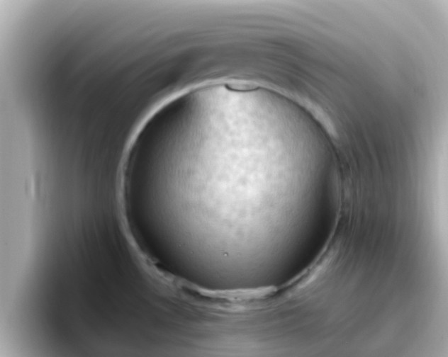 X0000096681530200802121201