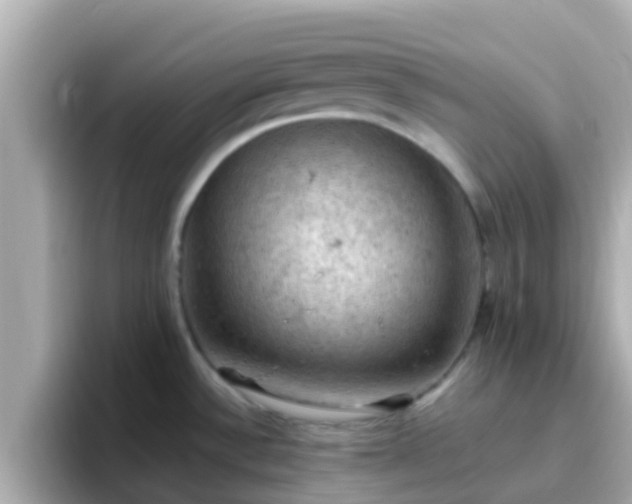 X0000096681532200802121201