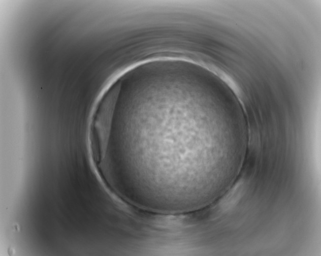 X0000096681533200802121201