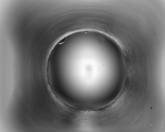 X0000096681534200802121201