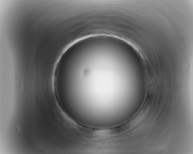 X0000096681535200802121201