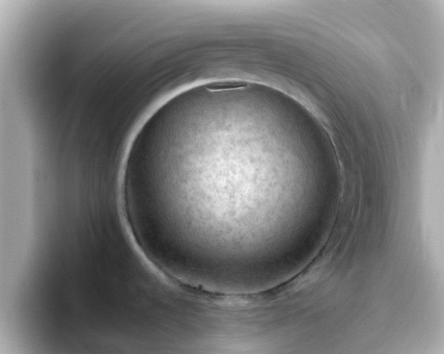 X0000096681536200802121201