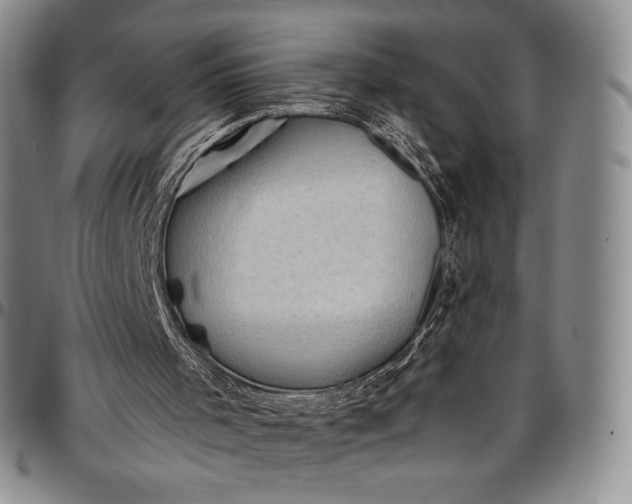 X0000096680001200802191402