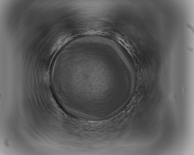 X0000096680002200802191402