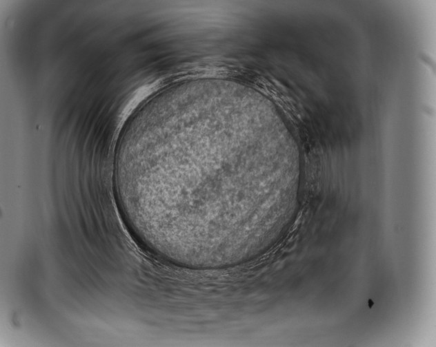 X0000096680003200802191402