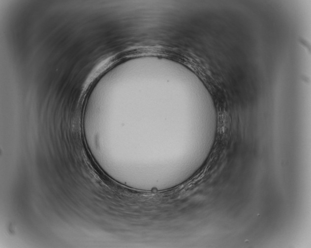 X0000096680004200802191402