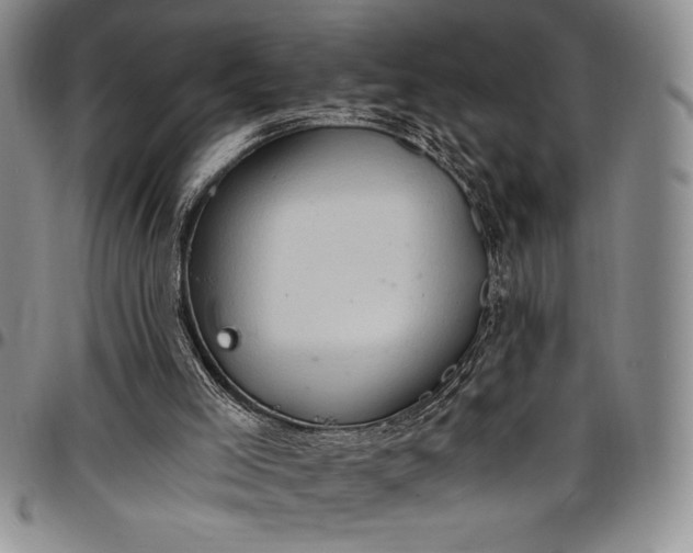 X0000096680005200802191402