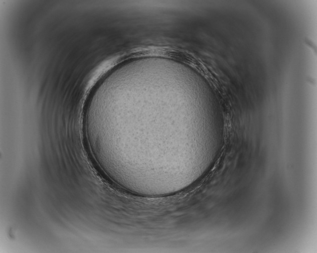 X0000096680006200802191402
