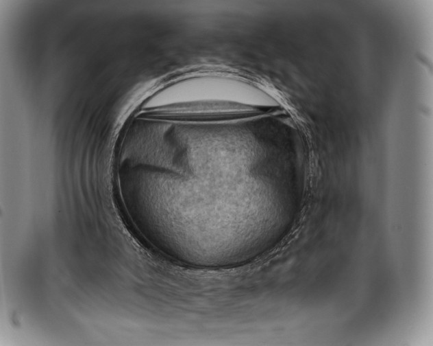 X0000096680007200802191402