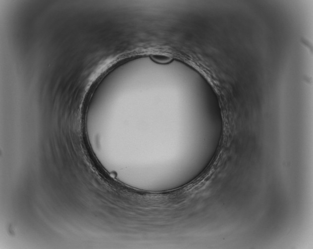 X0000096680008200802191402