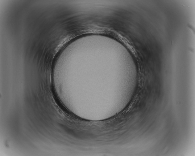 X0000096680011200802191402