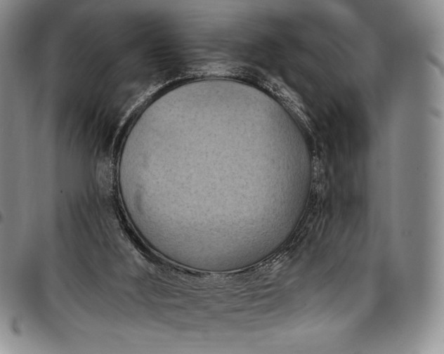 X0000096680012200802191402