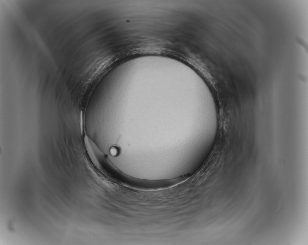 X0000096680013200802191402