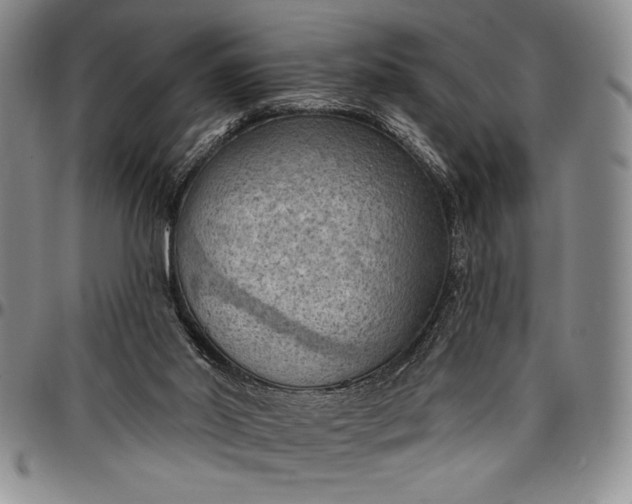 X0000096680014200802191402