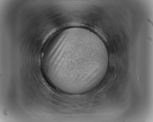 X0000096680015200802191402